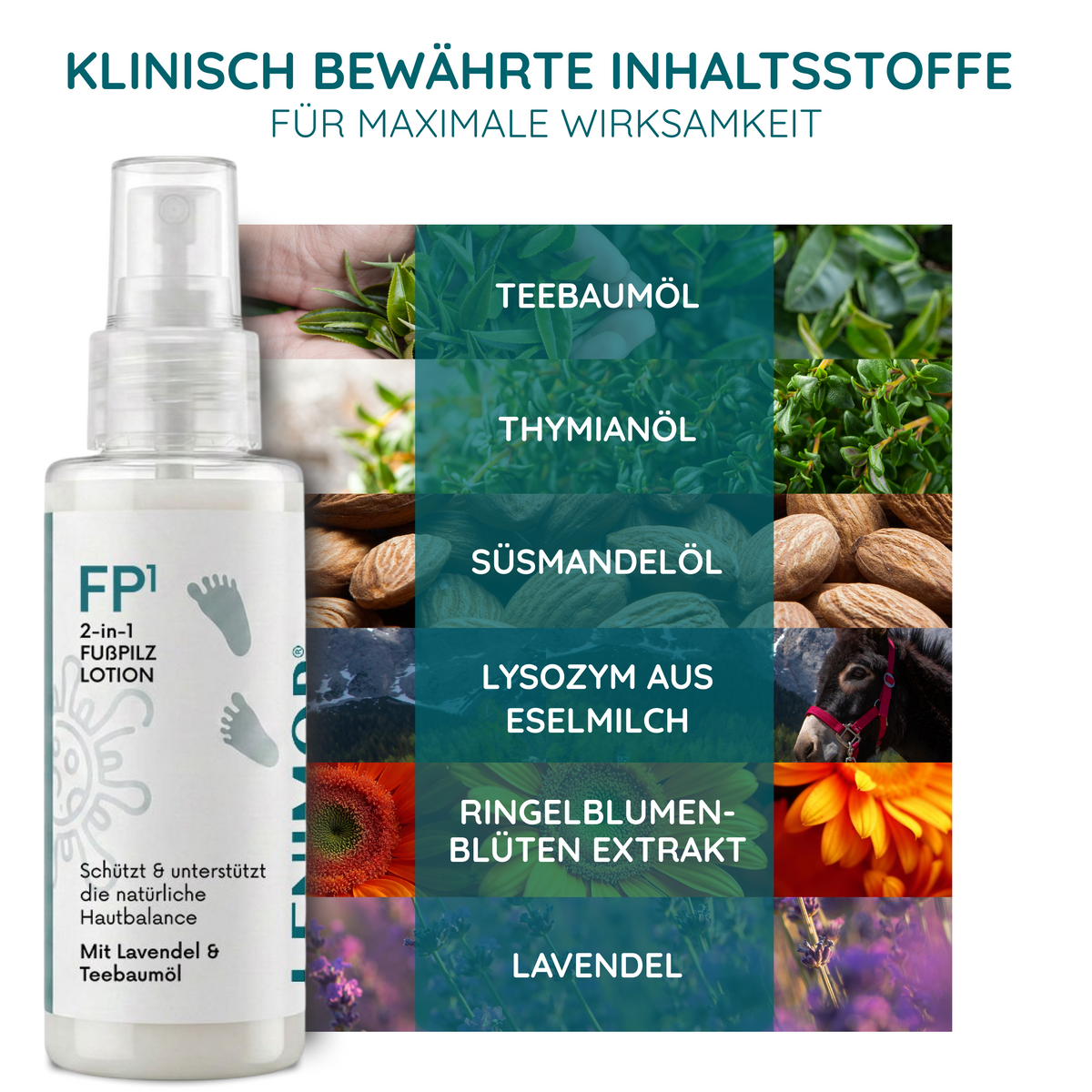 FUßPILZ Spray - Natürliche Formel mit Lavendel & Teebaumöl - 75ml
